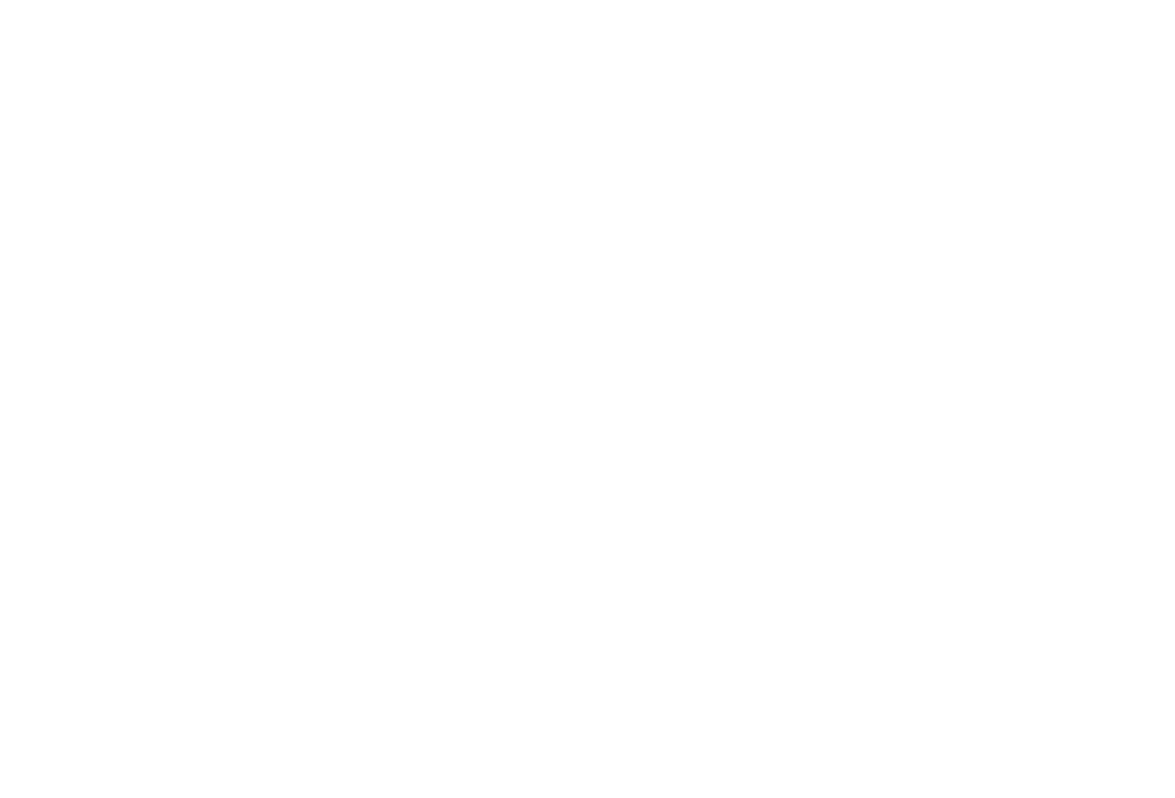 Steinbeton logo
